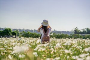 コモンズ30ファンドの評判・評価とは？危険？30銘柄集中投資で買い？