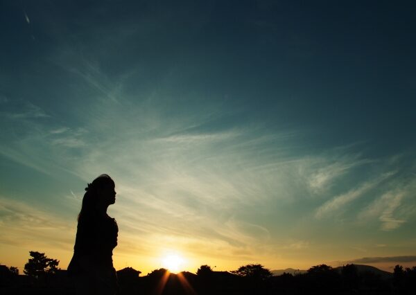 SBI・V・米国高配当株式インデックス・ファンドの評価と評判は？