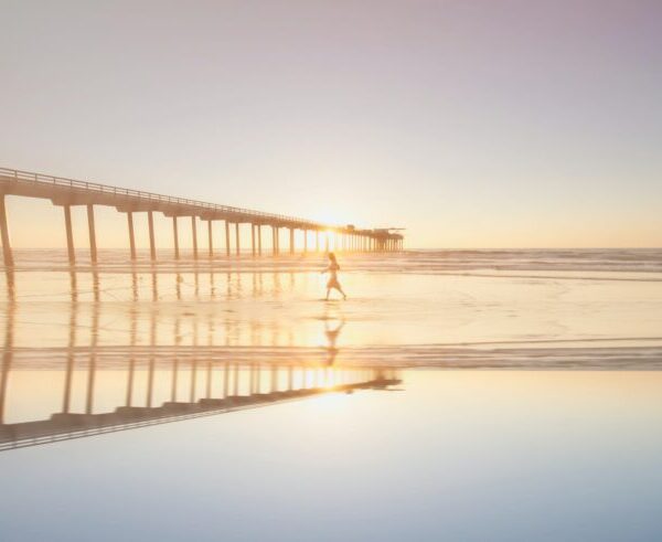 マネックス証券で投資信託のクレジットカード積立が可能に！