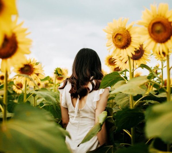 キャピタル世界株式ファンドの評判は?構成銘柄や利回りを評価!